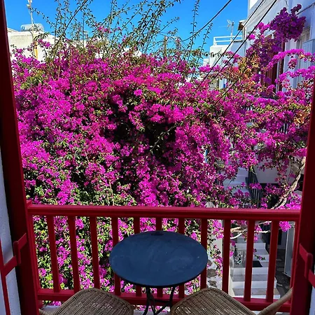 Dwell Town 1 Apartment